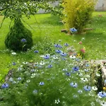 Bed and Breakfast 2 Au Calme A La Maison Des Bambous