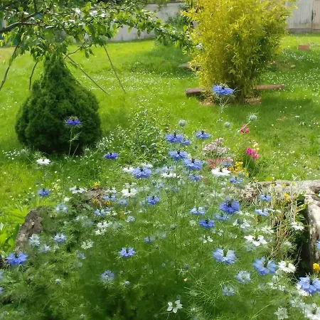 Bed & Breakfast 2 Au Calme A La Maison Des Bambous