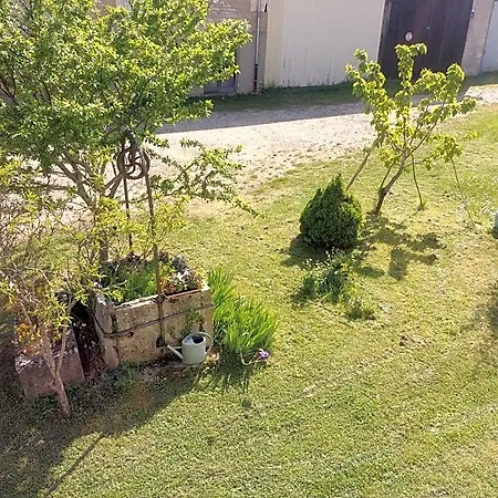 2 Au Calme A La Maison Des Bambous Dijon