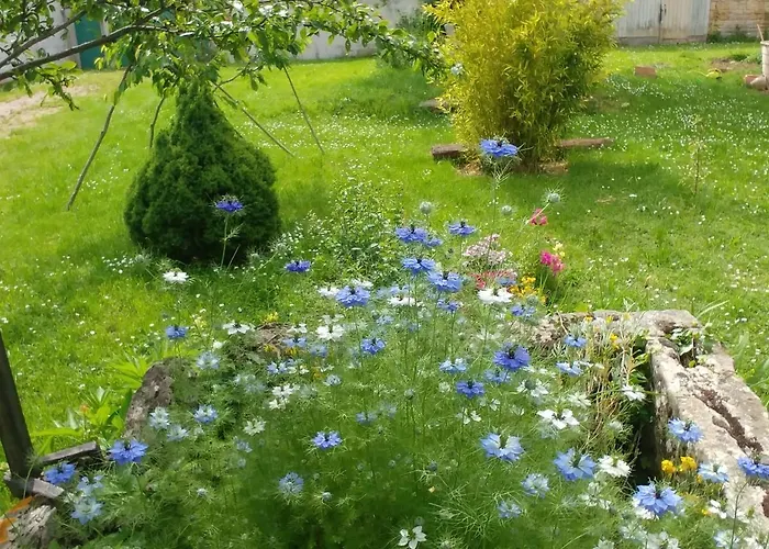 Alojamento de Acomodação e Pequeno-almoço 2 Au Calme à La Maison Des Bambous